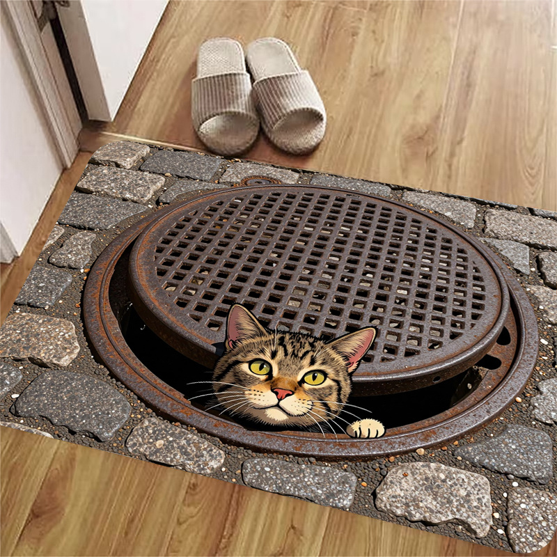 TEMU 1pc, 2d Flat Printing, 3d Visual Cover Raccoon Cat Doormat, Entrance Mat For Entryway And Doorway, Non-slip Machine Washable Easy-to-clean Mat,