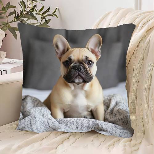 imagen del artículo de almohada de bulldog adorable de un - con un lindo diseño de perro, con cierre de cremallera, lavable a máquina para decoración , o el coche (relleno de almohada no incluido), decoración de bulldog, vital , diseño divertido,