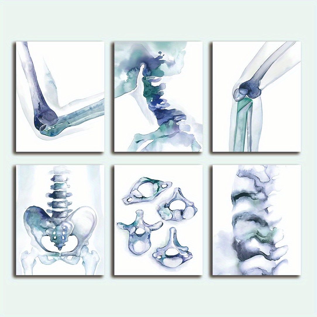 TEMU No Frame 6pcs Human Prints, Medical Art, Orthopedic Physician Wall Art, Spinal Massage Relax Poster, Anatomy Poster, Clinic Decoration, Set 8 *