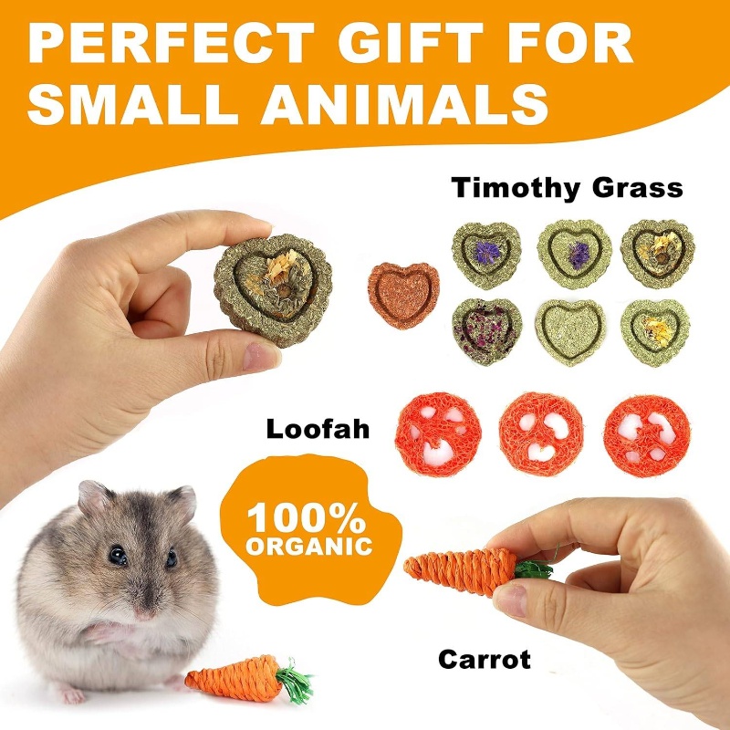 Natural Timothy Toys, 11pcs Snacks Chew Toys, Pet Chew Treats Guinea Pigs, Rabbits, Bunny, Chinchilla, Hamsters, with Timothy/Loofah/Carrot Hanging Toys