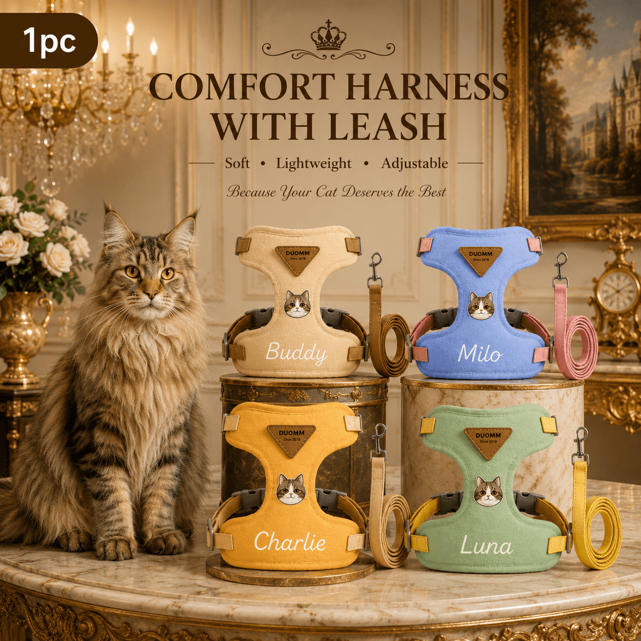 Custom Name Pet Leash for Cats and Dogs