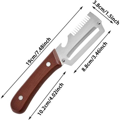 stainless steel 3 in 1 peeler bottle opener and onion slicer a simple and convenient kitchen tool designed for right handed use all kinds of vegetables and fruits and a great gift for family during the holidays