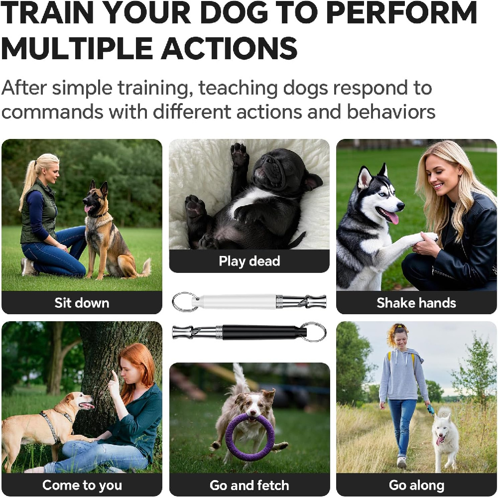 Dog Quiet How To Teach Your Dog To Stop Barking Quiet Teach Dog