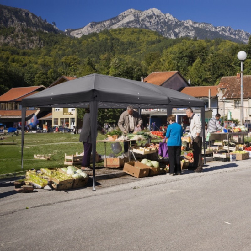 Image of 10x20ft Dark Grey Canopy, 6-sided 4-window Outdoor Shelter, Heavy-duty Powder-coated Frame, Portable With Carry Bag