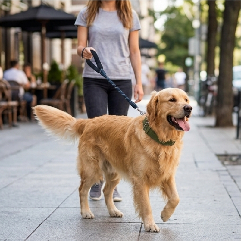 Double-Button Dog Collar for Medium Dogs with Adjustable Leash