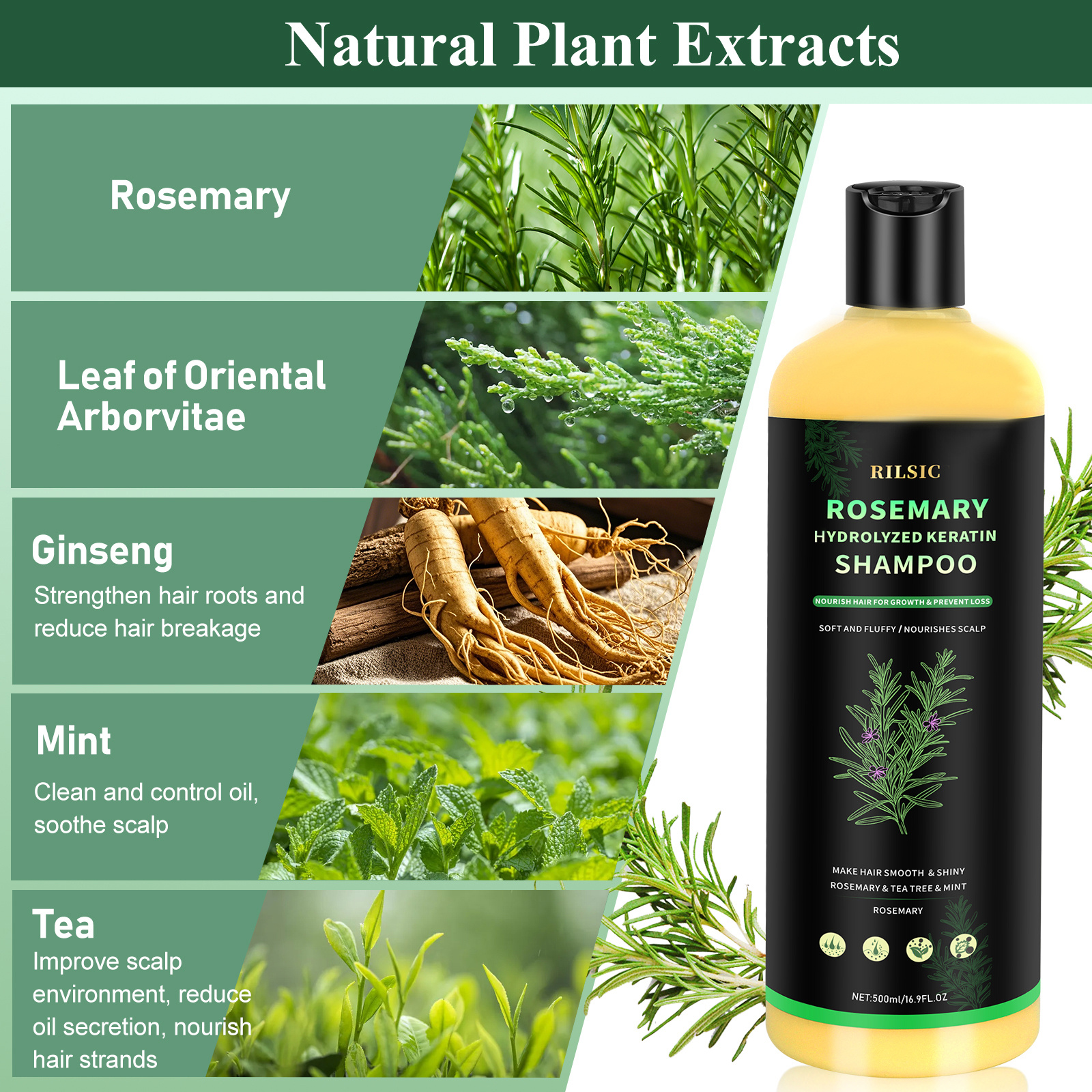 1pc Rosemary Shampoo, Deep Botanical Oil Control, Cleans and Strengthens Fragile Hair, Fluffy Hair, Contains Rosemary Extract, Deep Cleaning, Mild Moisturizing, Plump Herbal Essence, Suitable for All Hair Types 500ml