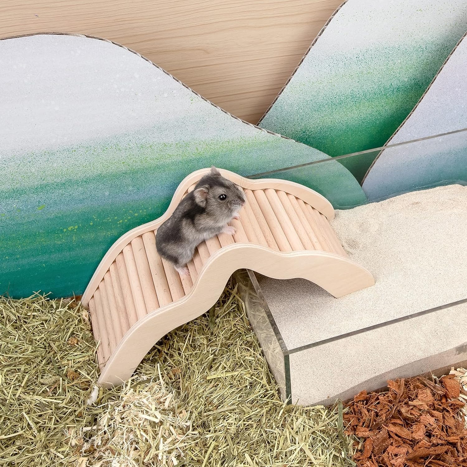Hamster Climbing Bridge Ladder for Small Pets