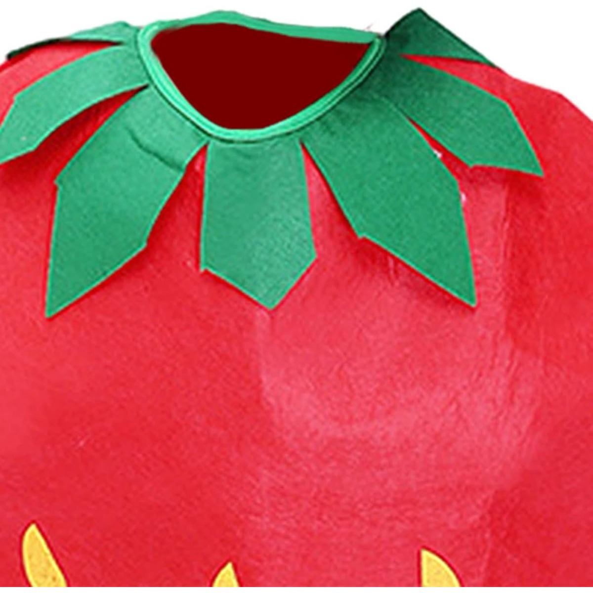 Opblaasbaar Kostuum Aubergine Opblaas Pak Groente Fruit Paars Mascotte