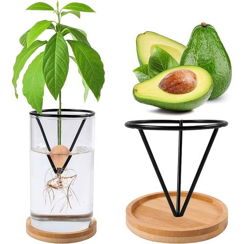 2 hydroponic seed support pots convenient plastic conical seed containers suitable for avocados and other seedlings lightweight classic hanging pots suitable for indoor and outdoor gardening gardening gift home decor
