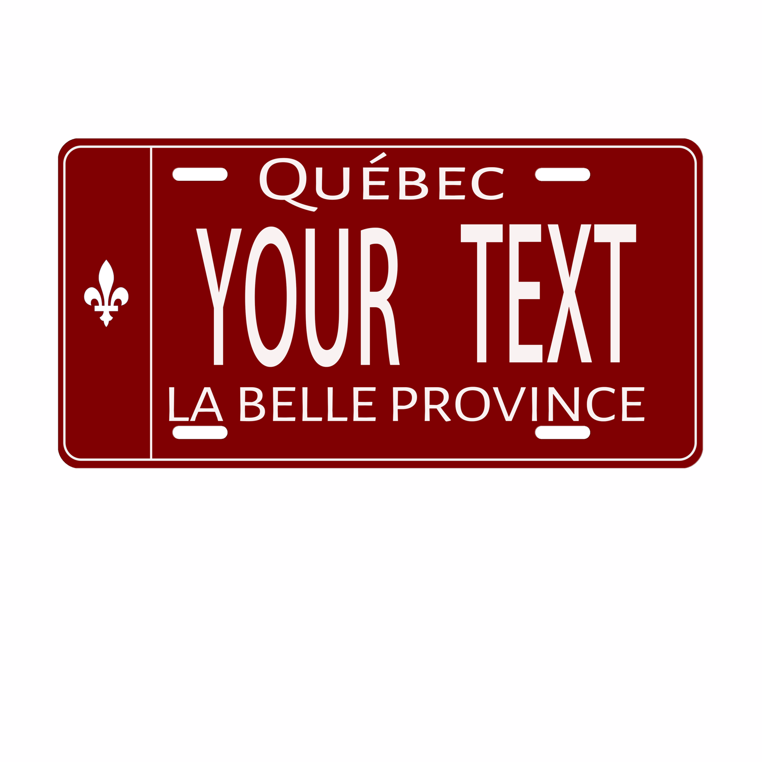Customizable Stainless Steel Quebec License Plate - 6x12