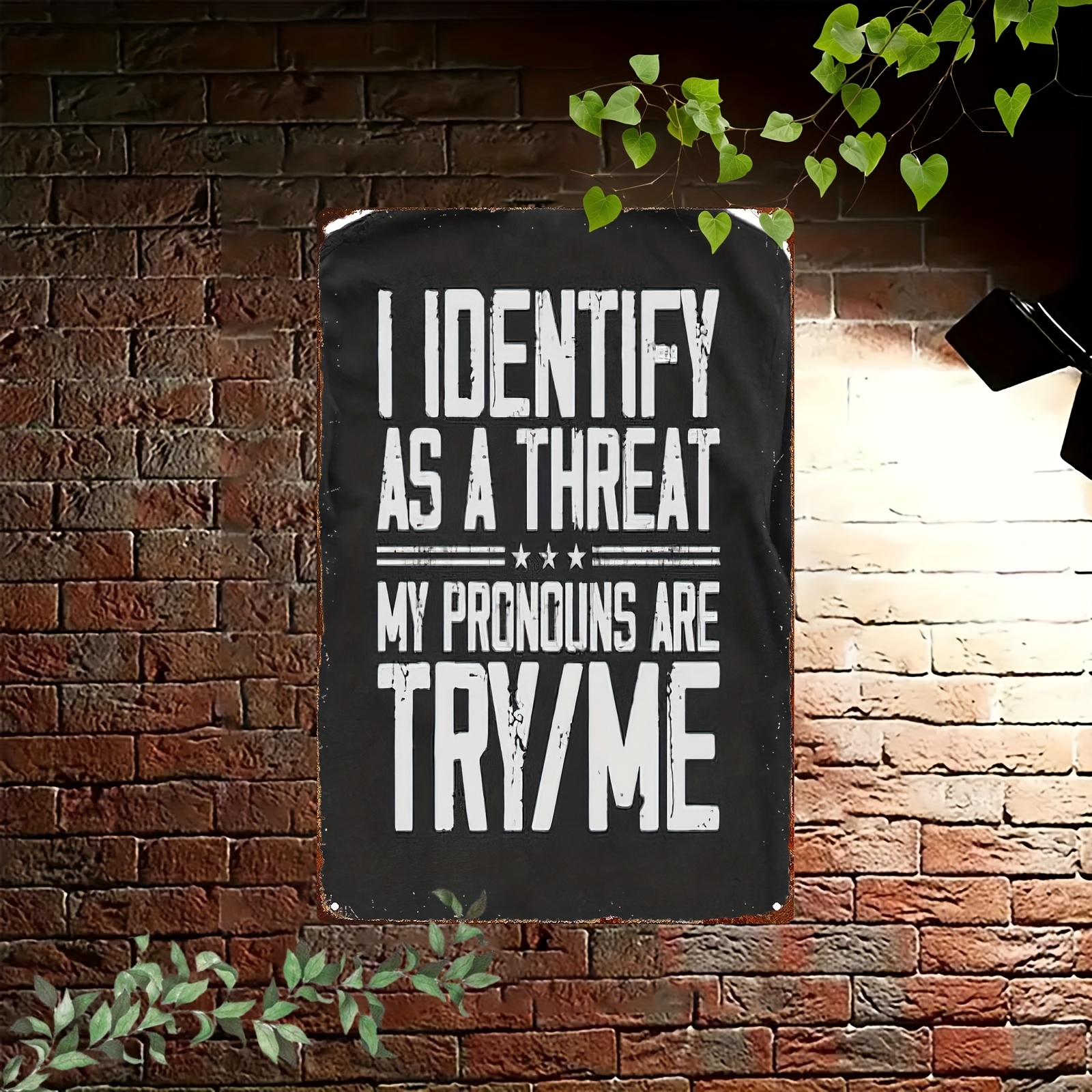 TEMU 2d Flat - 1pc Of Vintage Tin Sign Stating "i Identify As A , My Pronouns Are " - Wall Decoration For Home, Office, Vehicle, Or Event Decor -