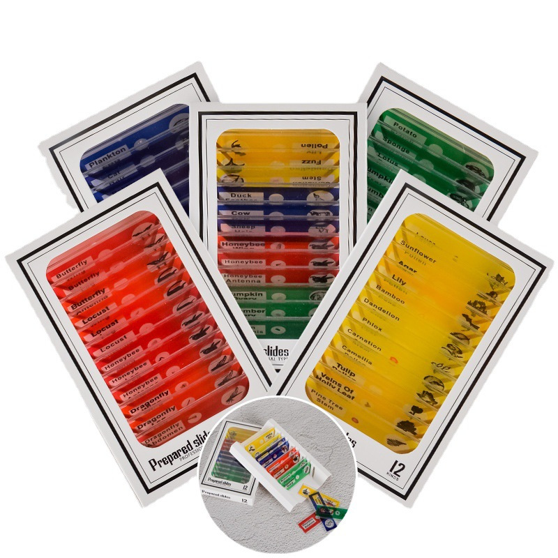 

12pcs Set - Complete Microscope Slides With Animal, Plant, Insect & Flower Cells For Educational Use