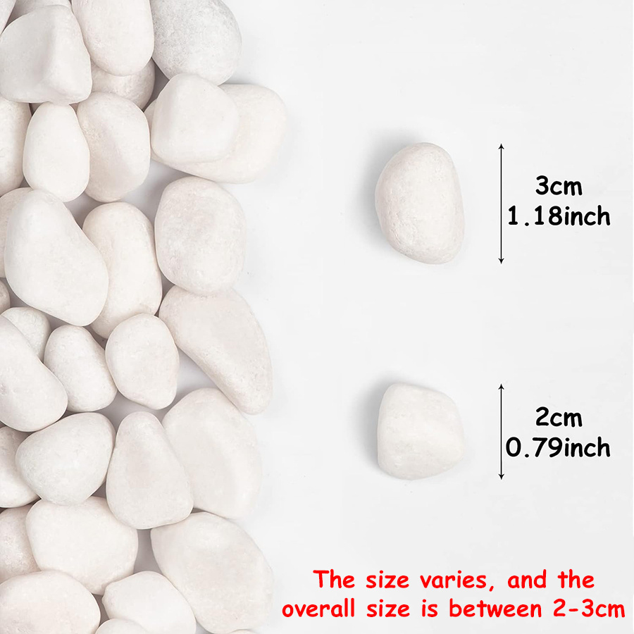250 Gramos de Guijarros Blancos Brillantes Naturales de 2-3 Cm, Perfectos para Decorar Patios, Jarrones de Plantas, Peceras, Acuarios y Exhibiciones Hortícolas