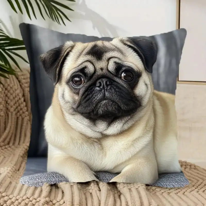 TEMU 1 housse de coussin mignonne Pug - Housse de coussin décorative en peluche douce, 17,7x17,7 pouces, carrée, idéale pour salon, chambre, bureau -