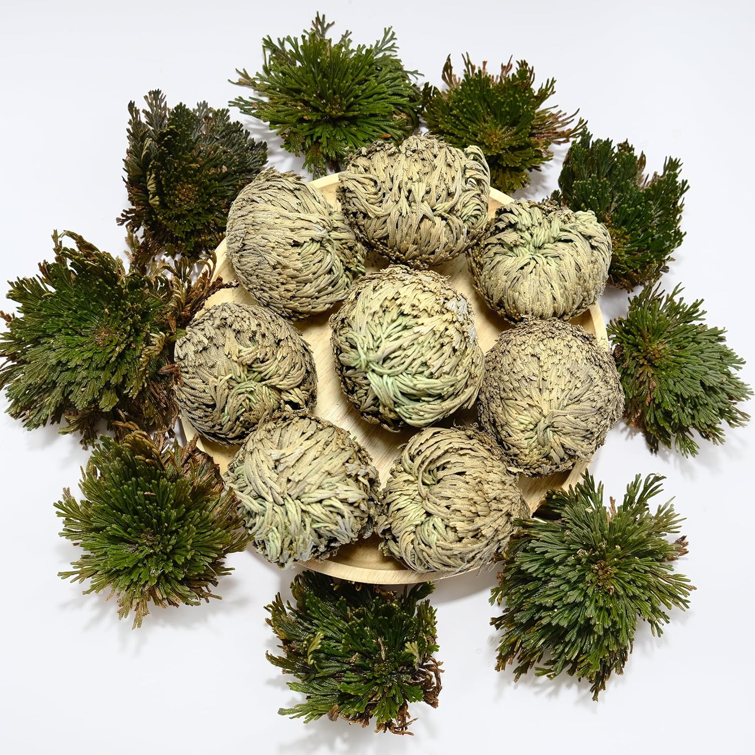 TEMU 8 Pack Original Dried Rose Of Jericho Plants (rosa De ) Suitable For Spiritual Purification, , Wedding & Home Decor - For Water , Holiday Gifts,