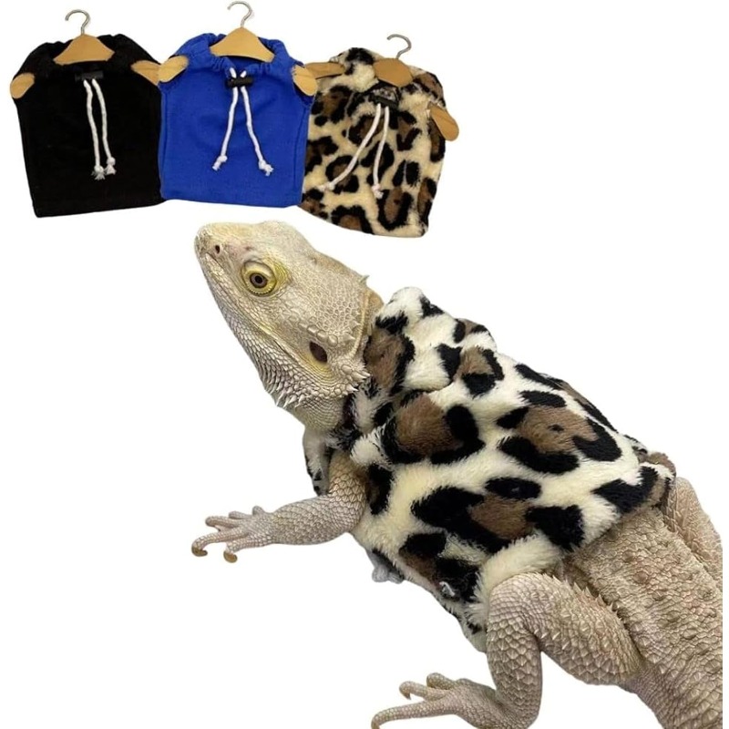 bearded dragon clothes United Kingdom