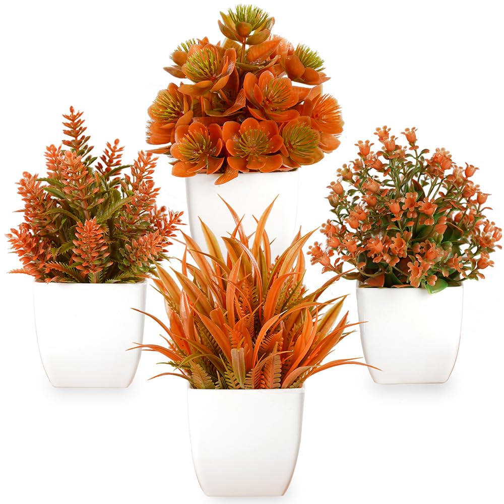 TEMU Random 2 pezzi tra 4 stili Piante di Eucalipto Sintetico - Mini Piante Artificiali in Vaso per l' e il Ringraziamento, Decorazioni Autunnali per