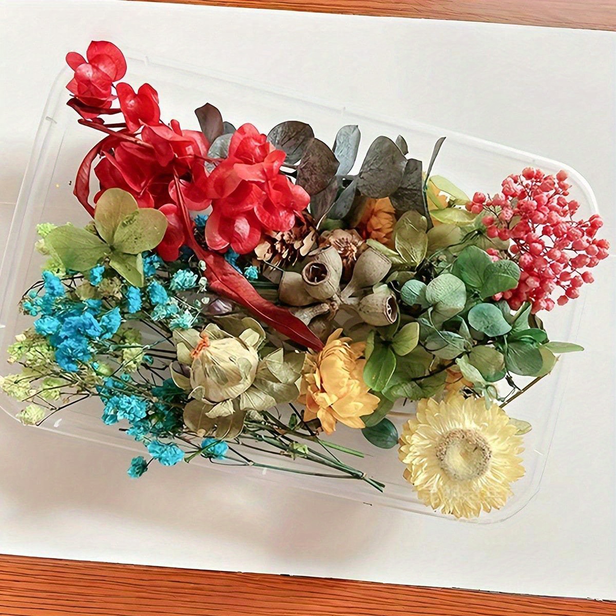 TEMU 2 Cajas de Flores Secas Prensadas Aleatorias - Margaritas y Hortensias Coloridas 6.7x4.7x1.4 Pulgadas para Manualidades, Joyería en Resina,