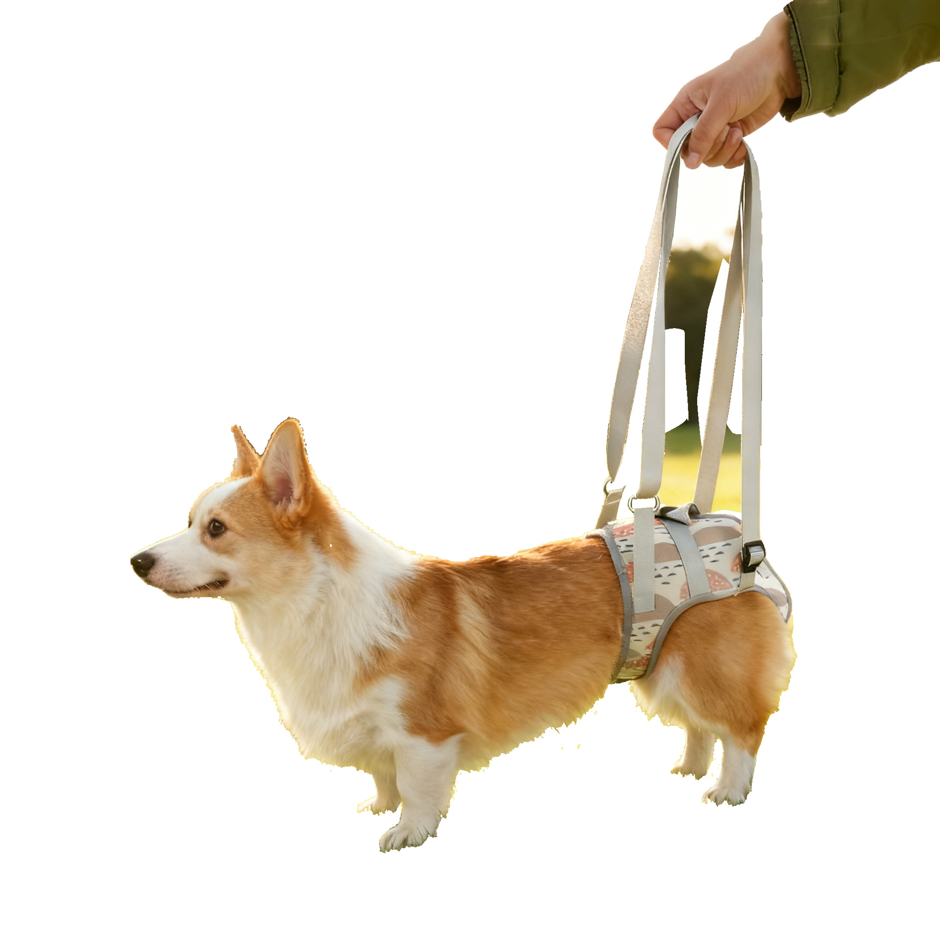 Large Dog Leg Assist Belt With Traction & Stair Climber Harness - Suitable For Senior Injured Disabled Dogs, Hindquarter For, Post-surgery, Machine Washable For And Outdoor Use