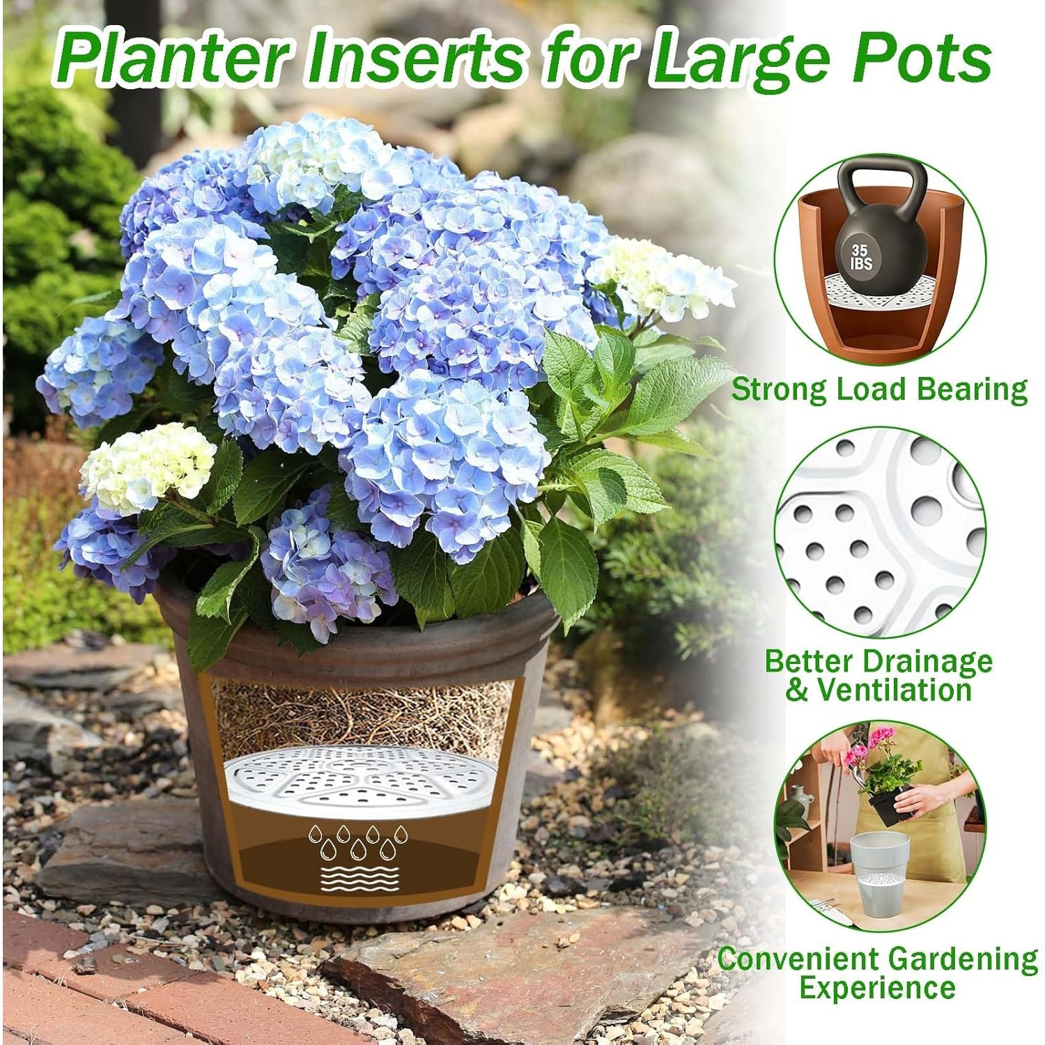 bonsai tree terrarium Plant Terrarium Bonsai - Self-Sustaining Miniature Gardens - DIY terrarium  kit