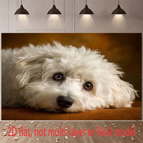 banner 2d piatto, 1 pz, con cane soffice e - , per feste a tema animali domestici, decorazione, sfondo per servizi fotografici con superficie marrone e illuminazione soffusa, decorazione per interni/esterni per raduni degli animali, 2d piatto