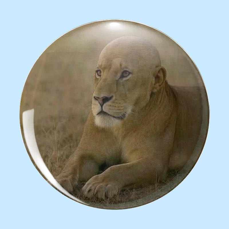 2d Brooches - Adorable, Entertaining, , Diverse Styles Featuring Innovative And Designs. Ideal For Pocket Pins, Bag, And Clothing Embellishments - Suggested Present For Festive Occasions