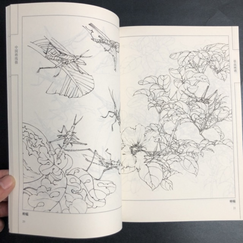 Chinese Line Drawing Grasshopper Painting Book: Beginner's Guide to Traditional Chinese Art, Sketching for Relax - DIY Coloring Book for Teens and Adults, Watercolor, Ink Wash, Oil Painting Chinese Version