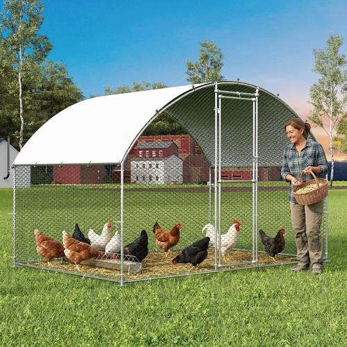 Large Metal Chicken Coop, for 6/10 Chickens, Outdoor Walk-In Poultry Cage with Anti-Uv Cover And Waterproof, 6.56 X 9.84 X 6.56 Ft