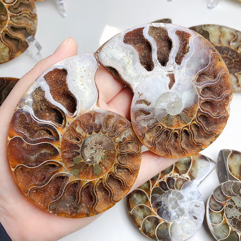 Image of A Pair Of Madagascar Sliced , Mineral Specimens, , Bohemian Style Daily Home Decor, A Holiday Gift For Crystal Enthusiasts