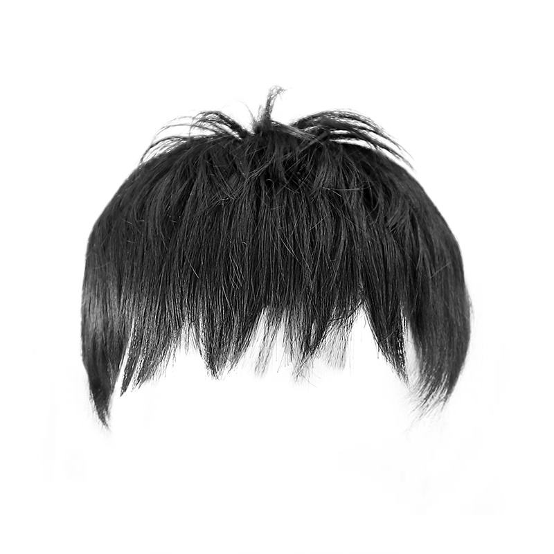 TEMU Middle-aged And Elderly Short Straight Hair Wigs Men' Natural Breathable Block Wig Short Hair Replacement