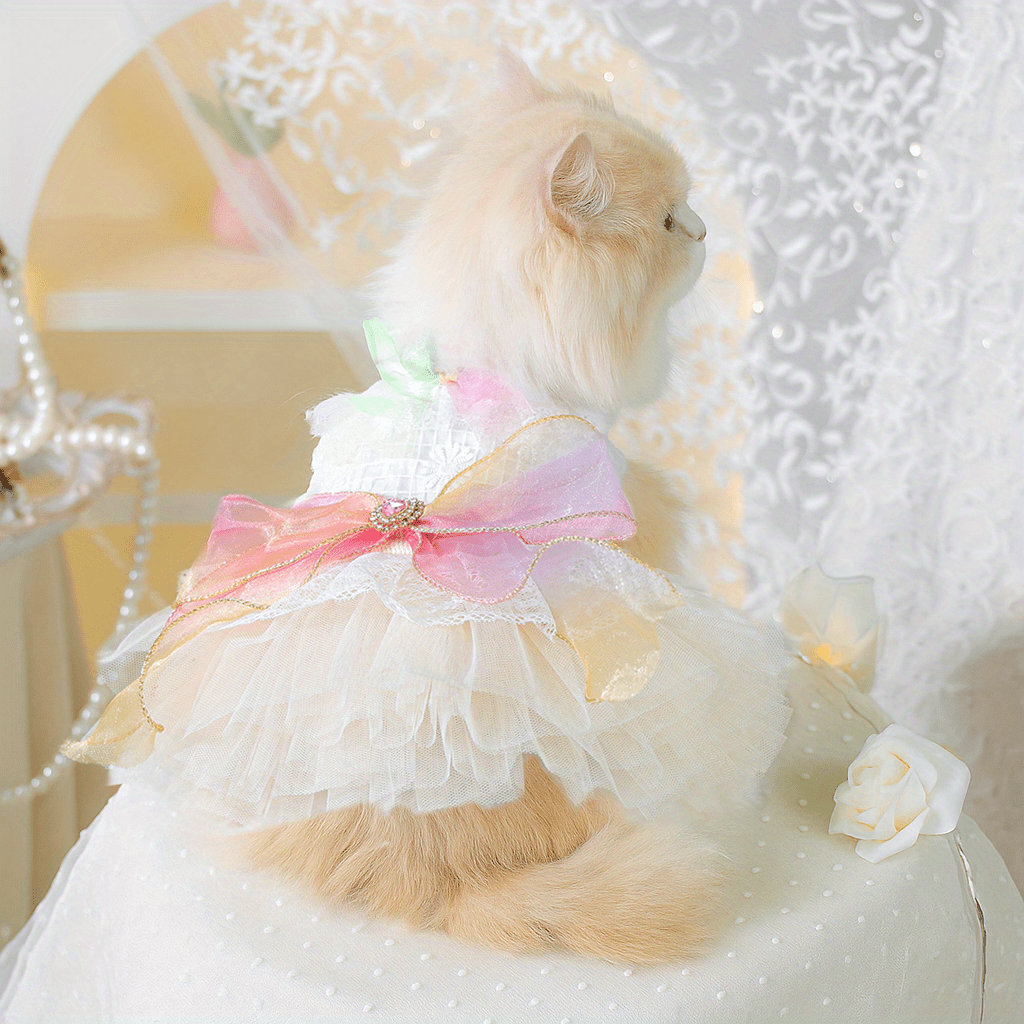 cat dress sold on Temu United States