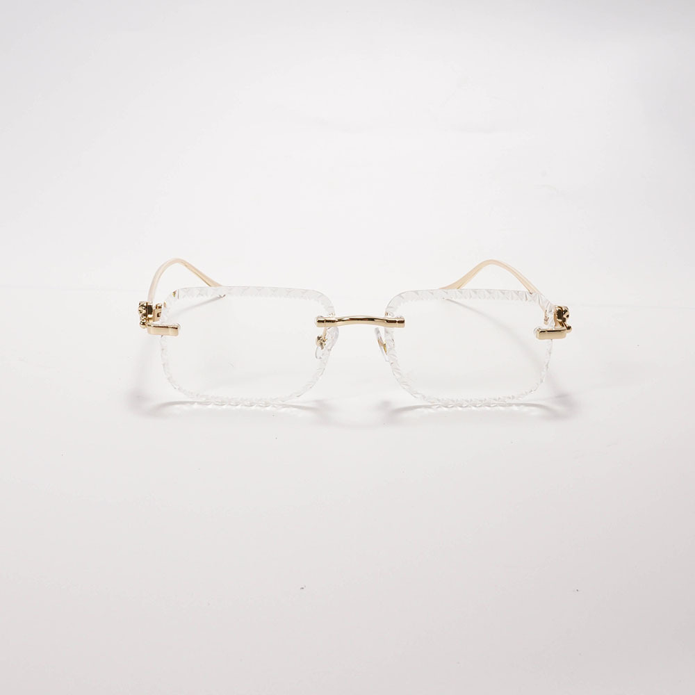 Liridian Brand Premium Frameless Glasses with Case