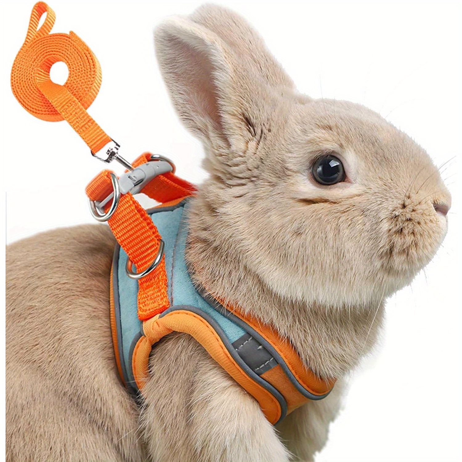 

Reflective Rabbit Double , And Belted For Pet Walking Accessories - Suitable For