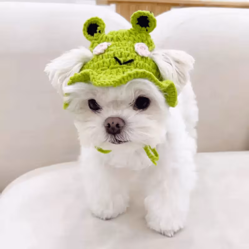 hat adjustable frog strawberry style cat hat suitable for cat and dog birthday hats holidays travel and photography soft and floral decoration breathable and comfortable headwear Product details 6