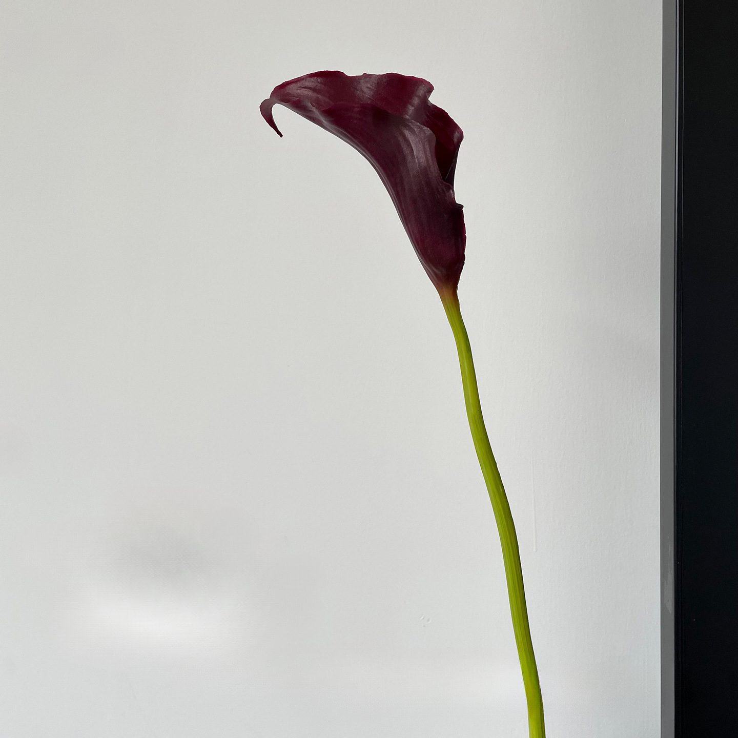 Image of 1pc, High-quality Realistic Soft Rubber Calla Lily Home Decor Business Handheld