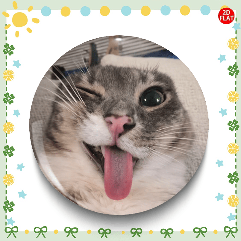 TEMU 2D Flach, (2D FLACH) Schelmische Katze 2026 Neueste Cartoon-Anime-Kunststoffnadel/Brosche/Abzeichen, Geeignet für kleines Zubehör wie Kleidung,