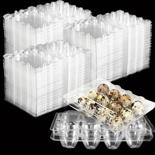 150 pack clear quail egg cartons with lids stackable mini plastic storage holders durable plastic egg trays for pheasant pigeon eggs easy egg storage containers pigeon egg storage