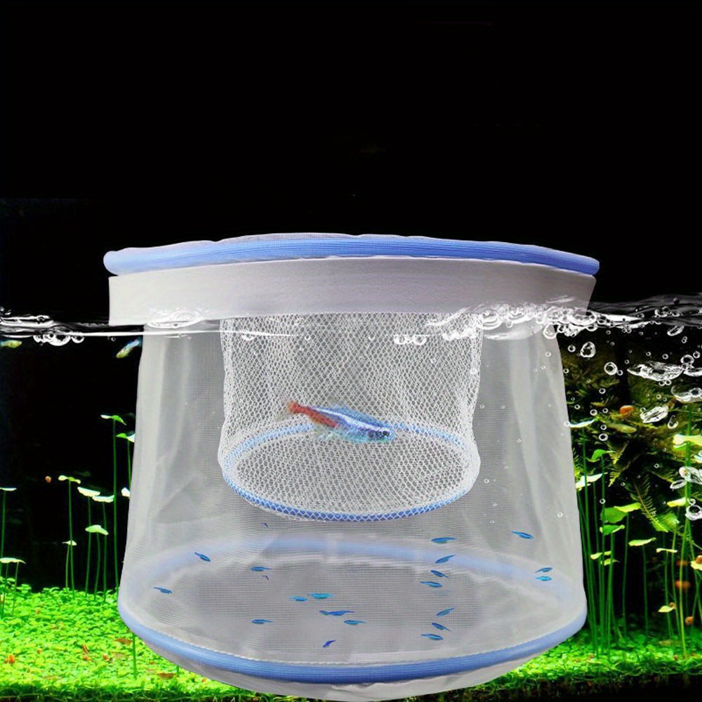pack guppy fish breeding net isolation box lid Temu