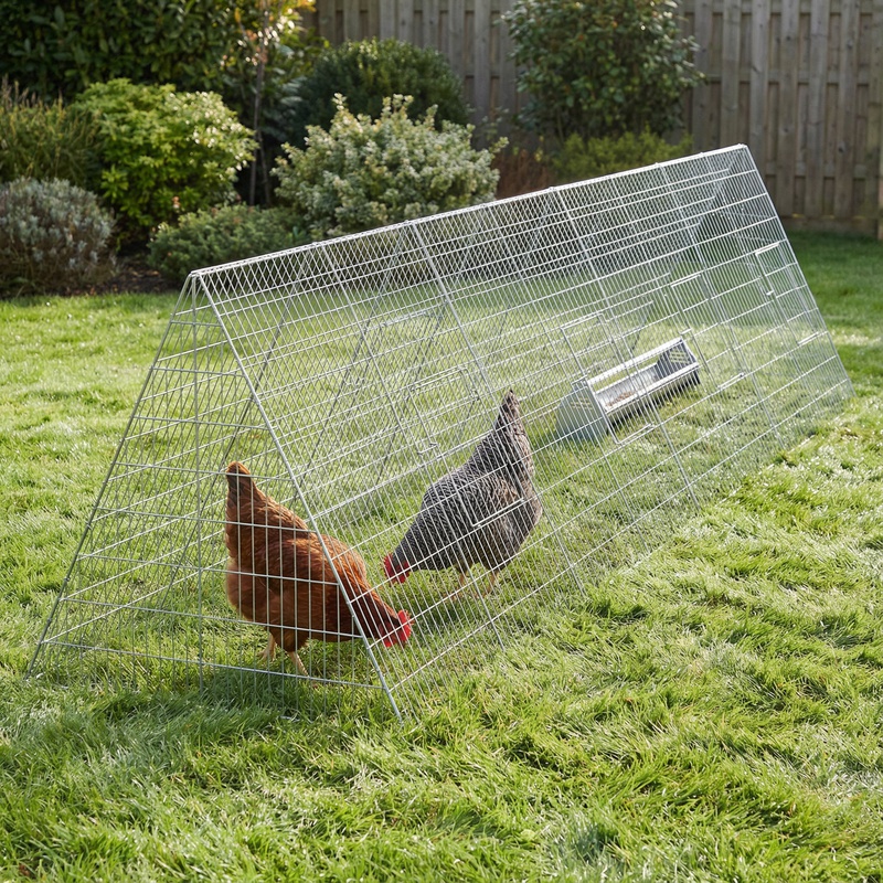 Image of Chicken Coop Silvery 430 X 100 X 85cm Steel Details Space- Essential Storage Space Must-have For The Backyard First Item Family-friendly Complies With Cross-border Regulations