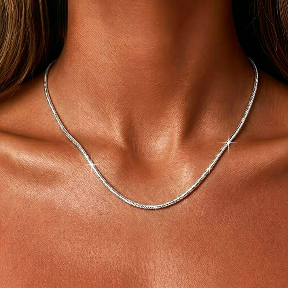 2pcs Exquisite Minimalist Two-Tone Snake Chain Jewelry Set
