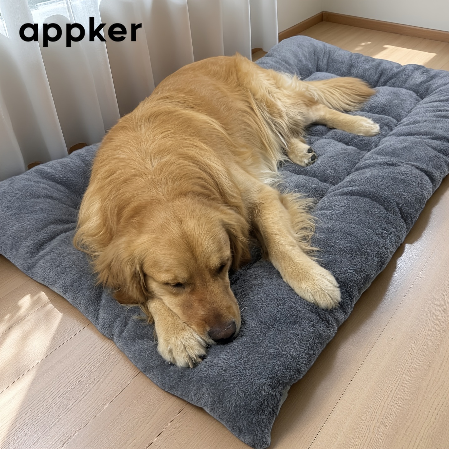 hundebett orthopdisch Orthopdisches Hundebett  gelenkschonend & bequem