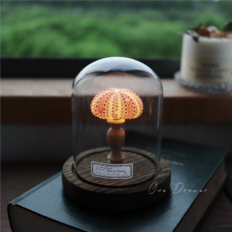 TEMU Retro, Shell Sea Conch Lamp, Night Light Ornament, Handmade Sea Night Light
