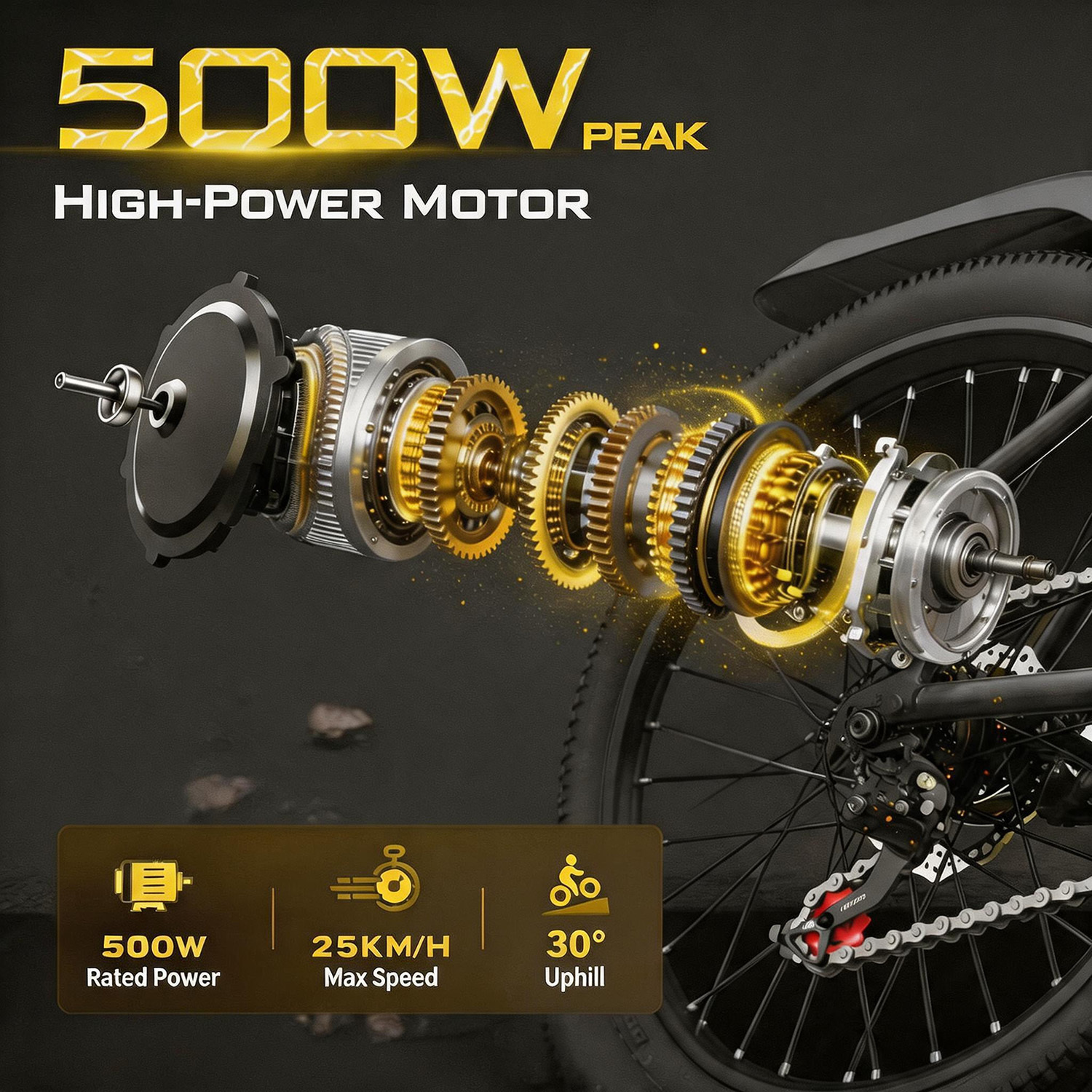 amphibious electric bike with rear hub motor and mechanical disc brake,   with removable battery, 24-hour  , free   kit phone holder, 24-inch hub, 48v, 500w motor, and standard ebike configuration. father s day gifts Product details 3