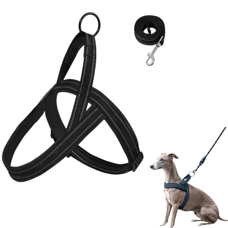 TEMU No-pull Reflective Dog Harness And Leash Combo, Breathable Soft Mesh Pet Chest Harness, Adjustable Anti-tug Dog Walking Vest, Durable Reflective