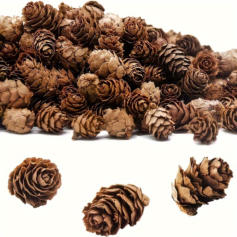 TEMU 100 Mini Pine Cones Made From Recycled Wood, Featuring A Rustic Brown End. Realistic Miniature Cones Are Perfect For Projects, Decorating