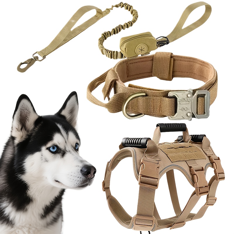 Professional-Grade All-Weather Pet Essentials Bundle