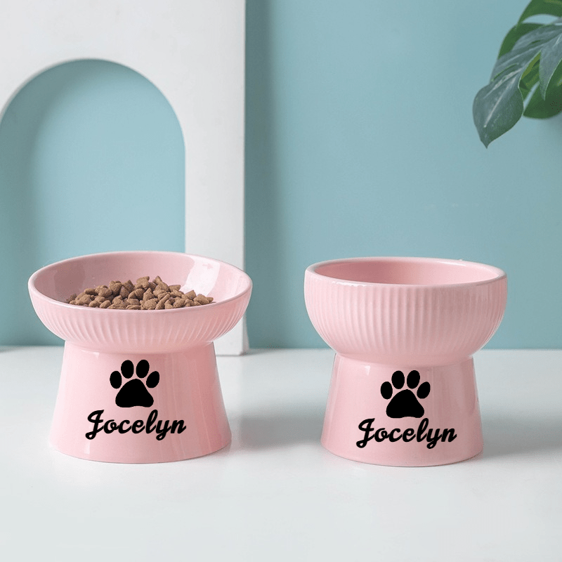 Customized Ceramic Cat Bowls with High Stands