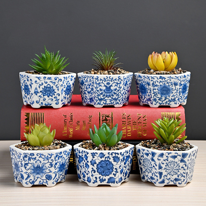 pot for money plant Money Plant (Small) in Nursery Grow Pot – Pulpy Garden main image 0