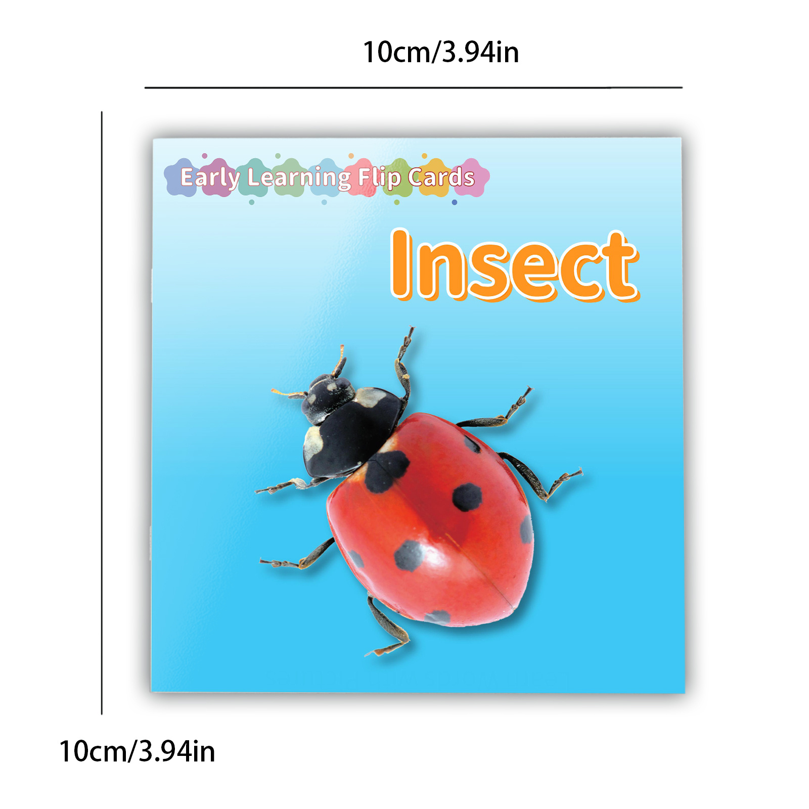 Insects Flashcards for Kids Educational Early Learning Cards