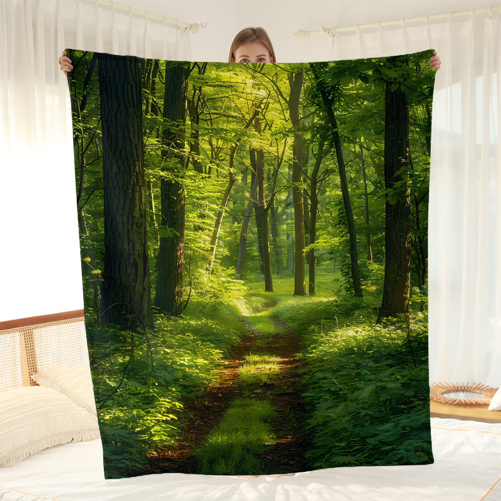 

1pc Printed Flannel Blanket, , , , , Washable, 250-300g Kilogram, Home & Kitchen Bed , Sofa , Blanket